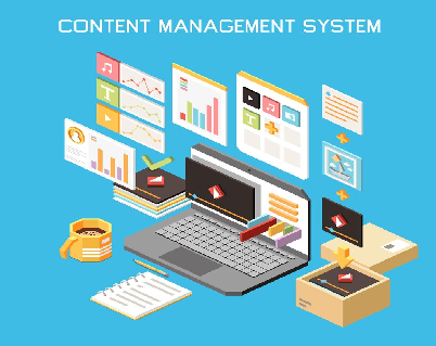 Content Management Systems (CMS)