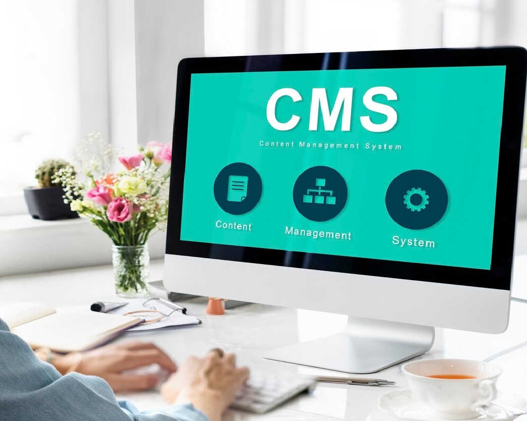 Content Management Systems (CMS)