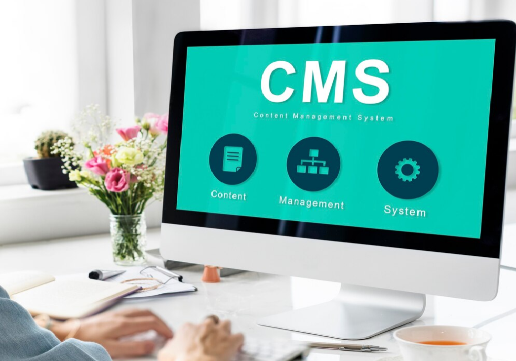 Content Management Systems (CMS)